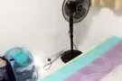 限一人，马来西亚女生，非吸烟，爱干净，随和 