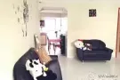 ~~~步行三分钟文庆地铁站3+2超大组屋 超大普通房 立即入住~~~