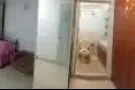 好房出租 可煮