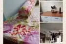 YISHUN BLK 236， 高楼，五房，角头，近巴士总站，水电网，女生环境