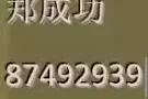 新加坡 全岛 裕廊东 / 湖畔/ 金文泰 / 牛车水 /西海岸 /BUGIS 