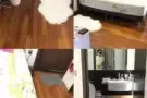 复合式单间