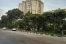 公寓普通房出租