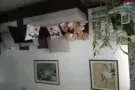 淡滨尼三房式组屋出租