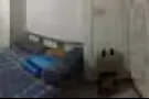 大巴窑中心普通房 （可随时入住,但1月15号后最好）房子大 没房东 很舒服.