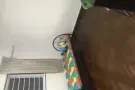 房間出租