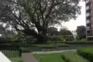 [出租] Bartley黄线巴特里地铁站旁公寓
