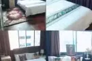 步行5分钟到巴耶里巴地铁站，芽笼37巷主人房随时入住～