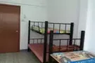 整套  阿裕尼