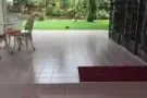 碧山排屋普通房