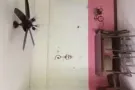 整套三间卧室私人公寓出租
