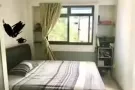 1分钟pioneer mrt 普通房出租 无中介