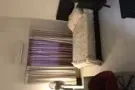 东海岸有房出租