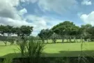 兀兰公寓普通房和主人房出租！学生党优先！