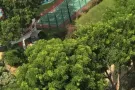 92334978█淡滨尼Tampines█步行3分钟豪华公寓冷气房-带独立卫生间
