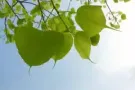 * 新床褥随着您迁入 同日送货 ** 温馨北欧乡村风 ** 