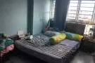 寻找一位女室友