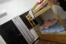 寻找一个或两个女搭房