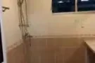 巴西立