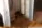 美世界精美公寓一房一厅低价出租