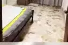 淡滨尼263普通房出租
