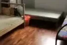 盛港港角附近招男女搭房