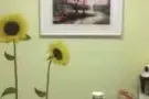 大巴窑小房间出租