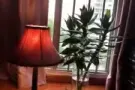 马里士他整套出租