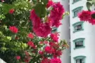 文庆公寓普通房2人间诚寻一位女搭客