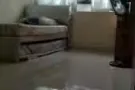 出租一间房间