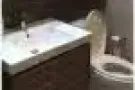 巴西立地铁站旁 coco plam豪华公寓 普通房出租 900水电网全包