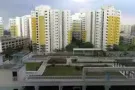 大牌4 6 3A 三巴旺 一房一厅租屋出租