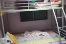 勿洛north street 3大牌528出租房间