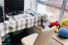 实龙岗公寓普通房间出租, $800 全包，小煮，非中介！