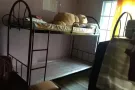 女搭房巴西立