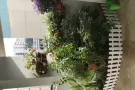 BLK 788B 复式楼客房出租 海军部 近地铁 精装修 无中介