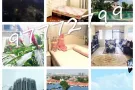 东海岸豪华公寓，南北朝向，9楼，物超所值