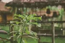 近美世界地铁站公寓超大主人房低价出租