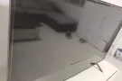 普通房出租