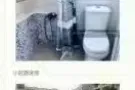 西海岸主人房出租