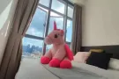 ❤️花拉公园地铁站 最新 网红豪华公寓主人房普通房。白领留学生优选！