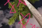 找房，文庆/加冷地区，一个人，女，寻找可报地址，500以内房源，两人搭房也可以。