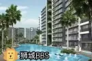 高层小公寓普通房出租