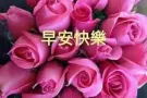 宏茂桥私人排屋男塔房（只租马来西亚人）或PR 夫妻情侣房