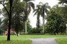 市中心  多美歌附近  各式学区房  长短期出租