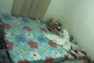 大房出租