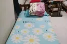 先驱女搭房