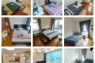 紫线 红线 绿线全岛1000多套房源，无房东＋可煮＋可报地址