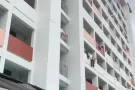 找个女租客