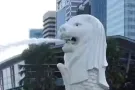 求租马西岭勿兰海军部女搭房